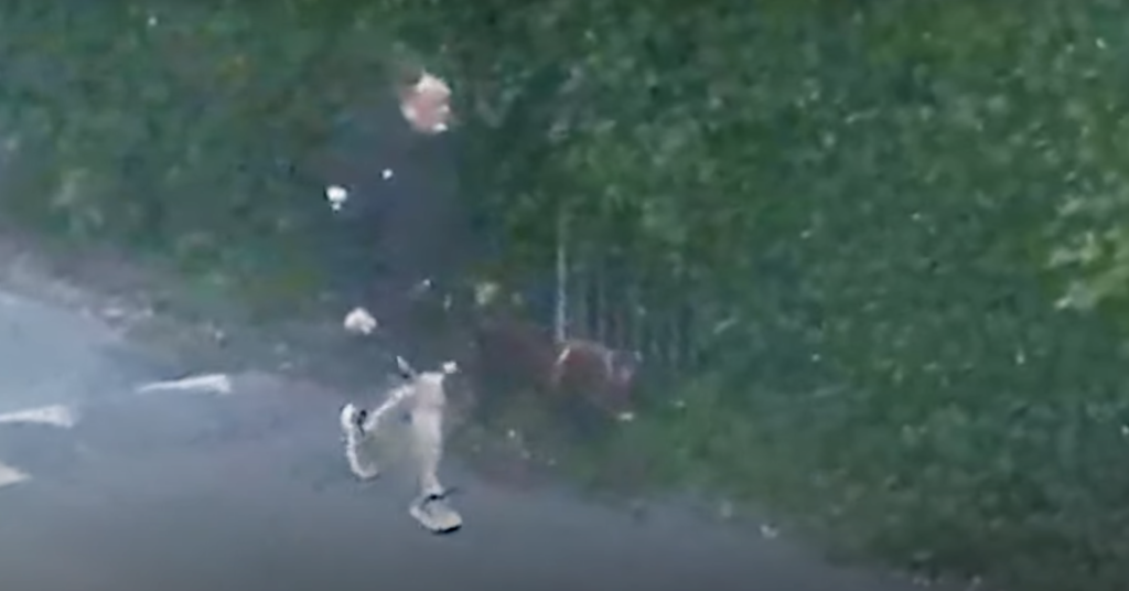 Video: Children injured in dog attack on Eastbourne beach Latest News ...